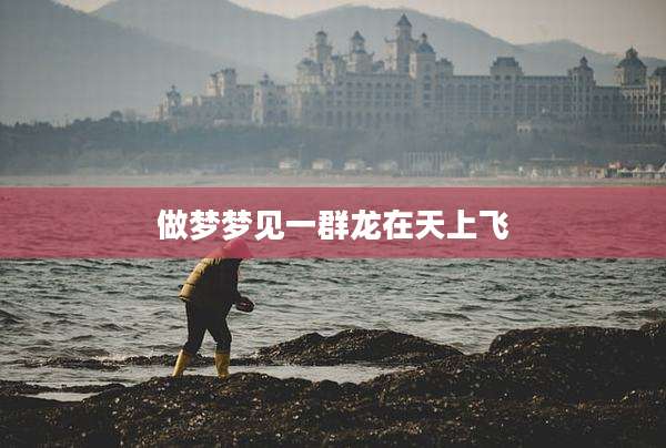 做梦梦见一群龙在天上飞