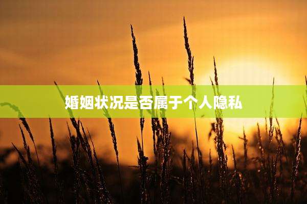 婚姻状况是否属于个人隐私