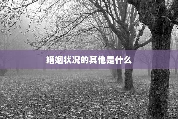 婚姻状况的其他是什么