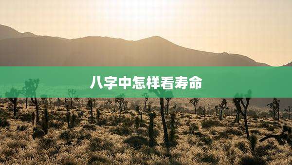 八字中怎样看寿命