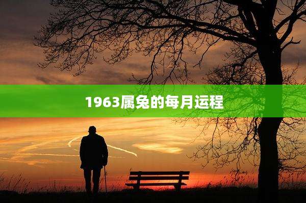 1963属兔的每月运程