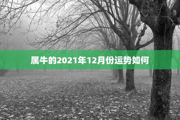 属牛的2021年12月份运势如何