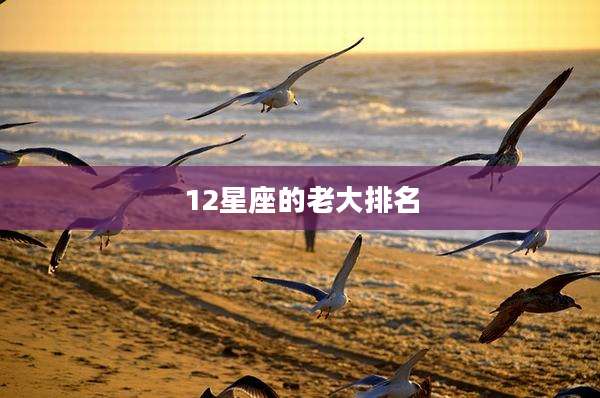 12星座的老大排名