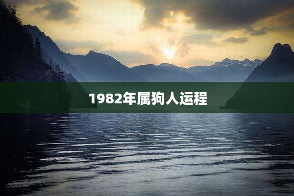 1982年属狗人运程