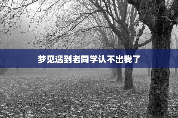 梦见遇到老同学认不出我了