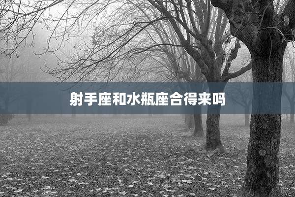 射手座和水瓶座合得来吗