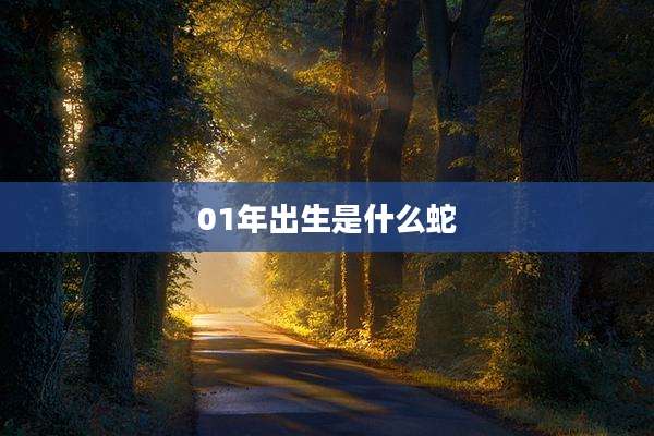 01年出生是什么蛇