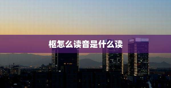 枢怎么读音是什么读