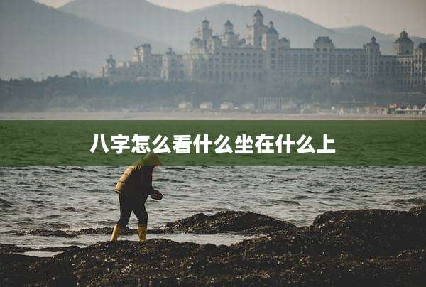 八字怎么看什么坐在什么上