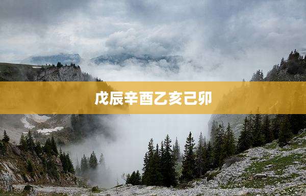 戊辰辛酉乙亥己卯