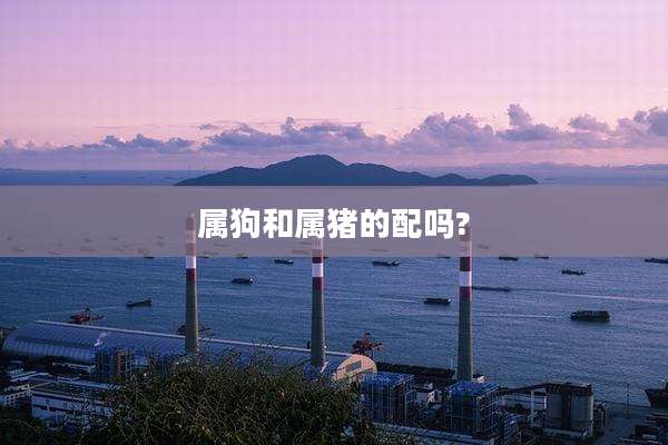 属狗和属猪的配吗?
