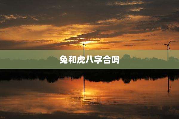 兔和虎八字合吗