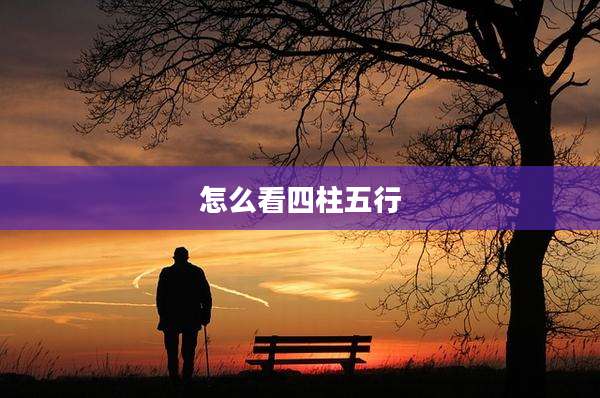 怎么看四柱五行