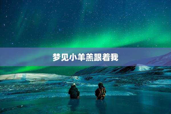 梦见小羊羔跟着我