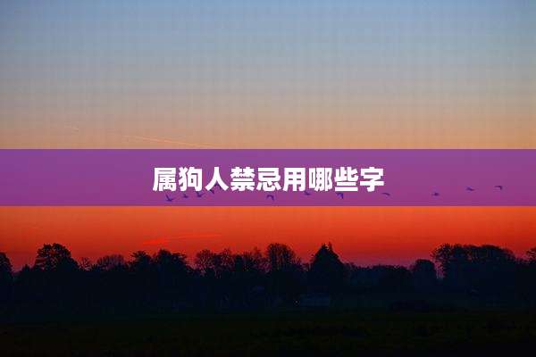 属狗人禁忌用哪些字