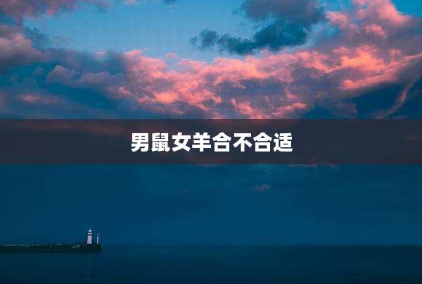 男鼠女羊合不合适