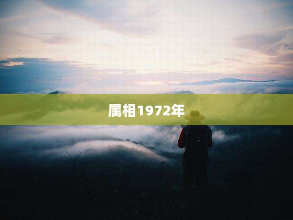 属相1972年