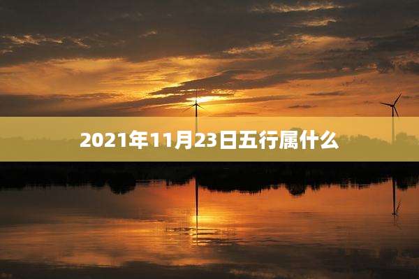 2021年11月23日五行属什么