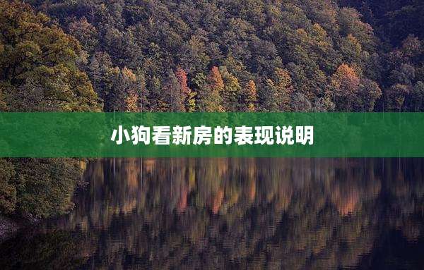 小狗看新房的表现说明