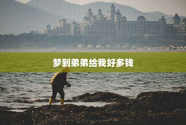 梦到弟弟给我好多钱