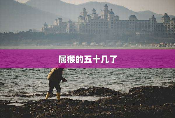 属猴的五十几了