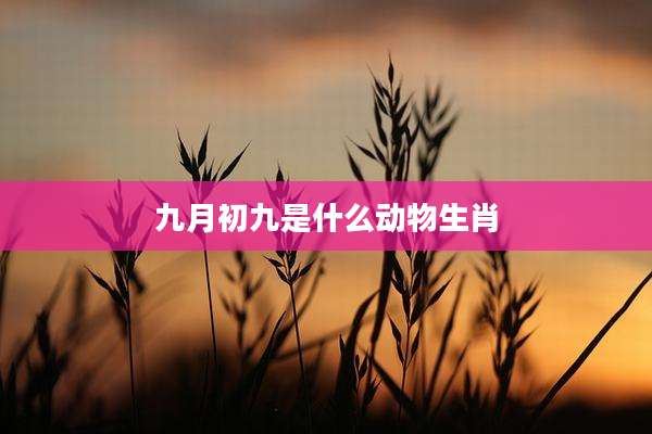 九月初九是什么动物生肖