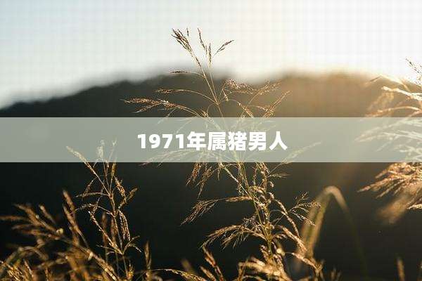1971年属猪男人