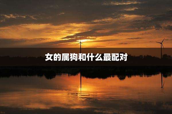 女的属狗和什么最配对