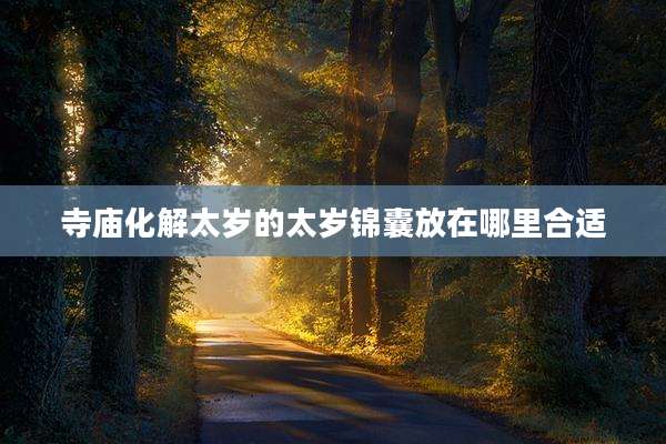 寺庙化解太岁的太岁锦囊放在哪里合适