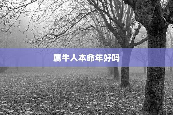 属牛人本命年好吗