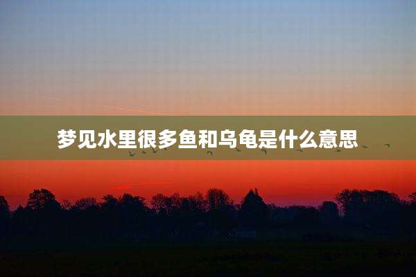 梦见水里很多鱼和乌龟是什么意思