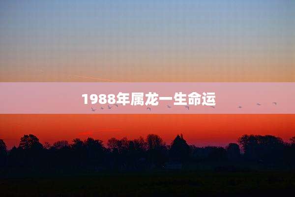 1988年属龙一生命运