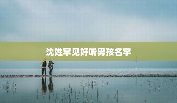沈姓罕见好听男孩名字
