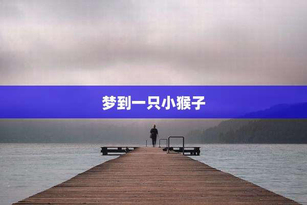 梦到一只小猴子