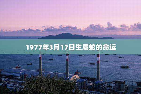 1977年3月17日生属蛇的命运