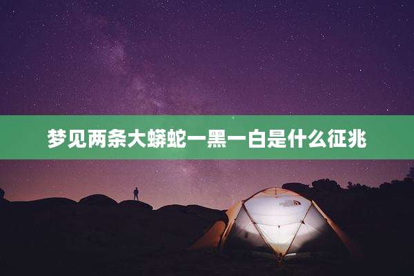 梦见两条大蟒蛇一黑一白是什么征兆