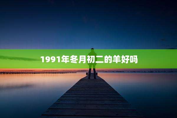1991年冬月初二的羊好吗