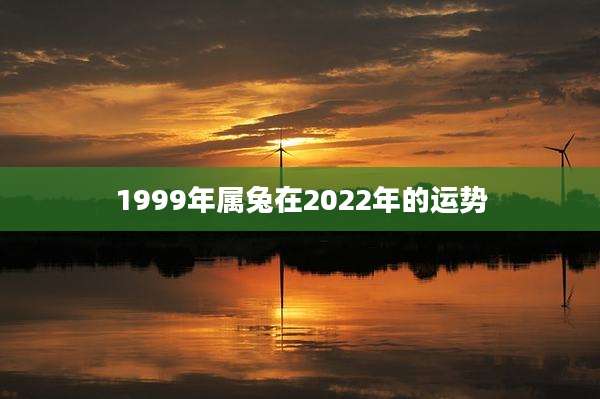 1999年属兔在2022年的运势