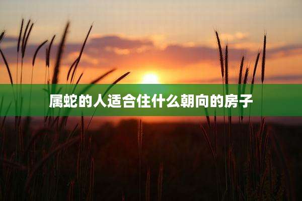 属蛇的人适合住什么朝向的房子