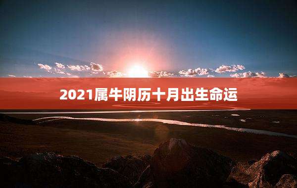2021属牛阴历十月出生命运