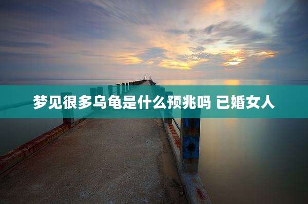 梦见很多乌龟是什么预兆吗 已婚女人