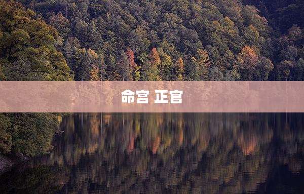 命宫 正官