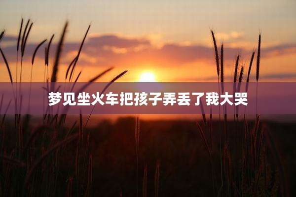 梦见坐火车把孩子弄丢了我大哭