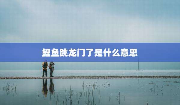 鲤鱼跳龙门了是什么意思