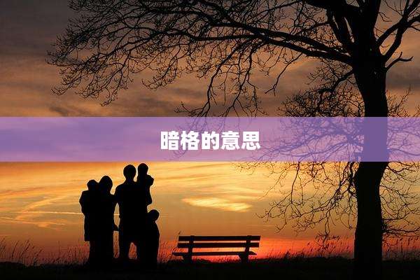 暗格的意思