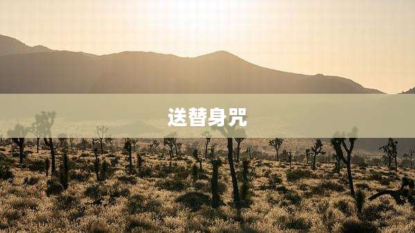 送替身咒