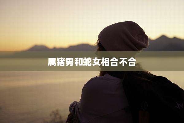 属猪男和蛇女相合不合