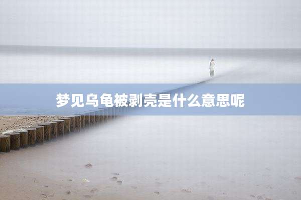 梦见乌龟被剥壳是什么意思呢