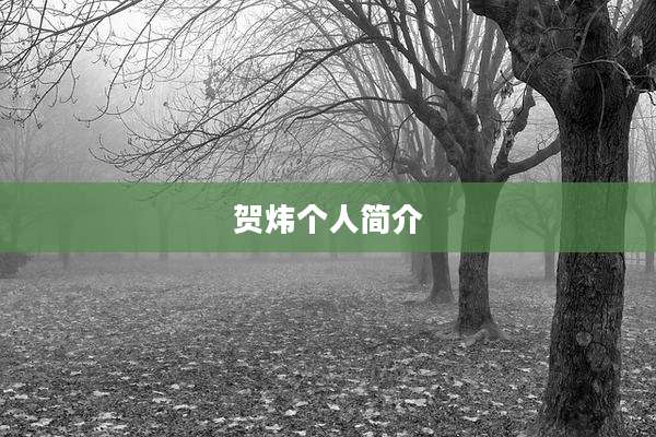 贺炜个人简介