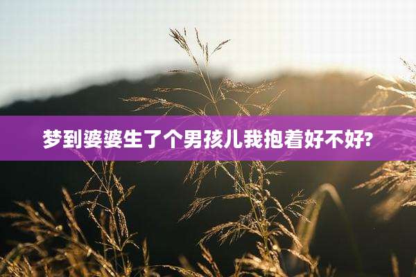 梦到婆婆生了个男孩儿我抱着好不好?